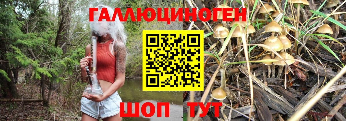 Невинномысск  Псилоцибиновые грибы Psilocybine cubensis  Вход с VPN  Псилоцибиновые грибы прущие грибы 